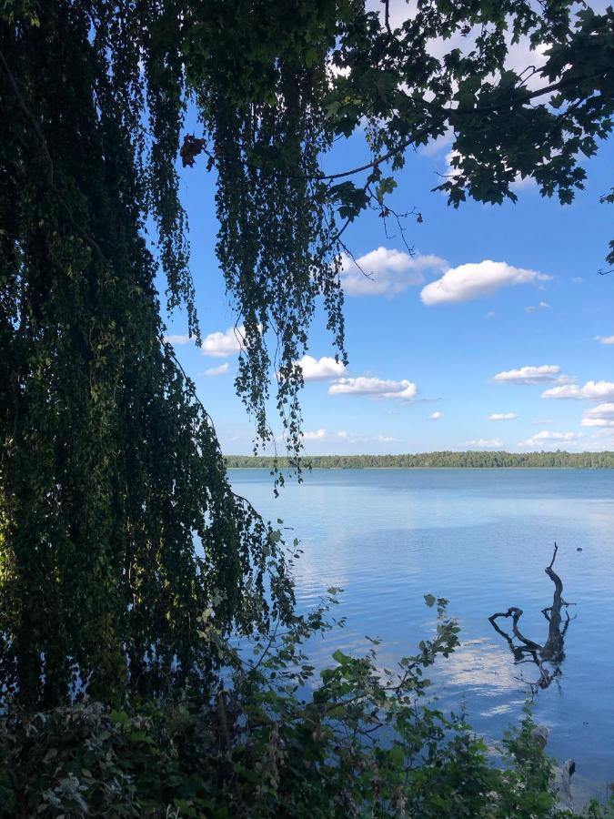 Вілла Osada Ladimorg Моринь Екстер'єр фото